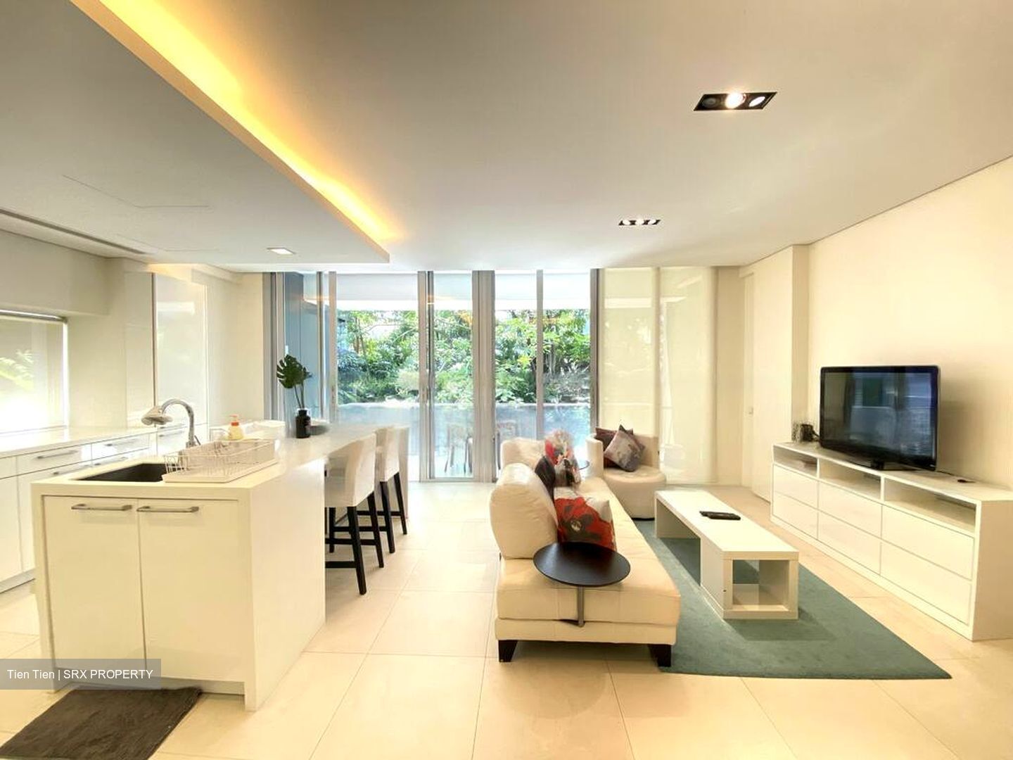 The Luxe (D9), Condominium #571766461